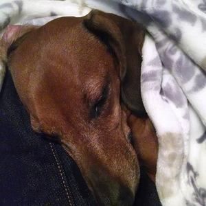 Meet your Posher, Nikki